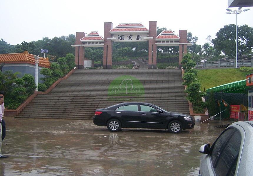 生態(tài)園林綠化城市建設(shè)