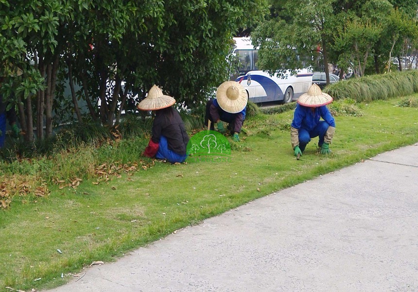 園林綠化養護標準有哪些？